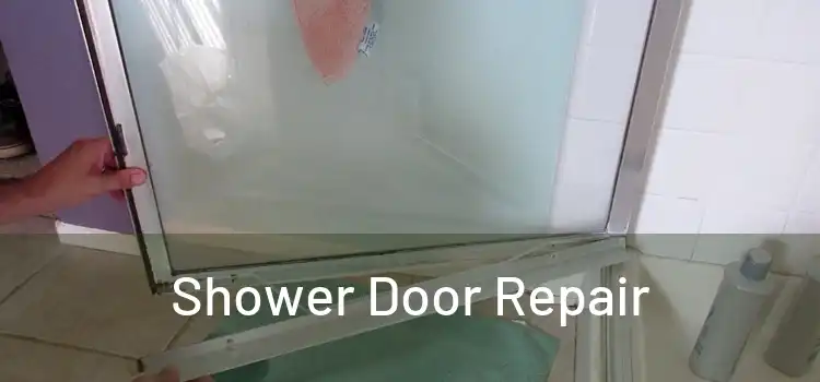  Shower Door Repair 